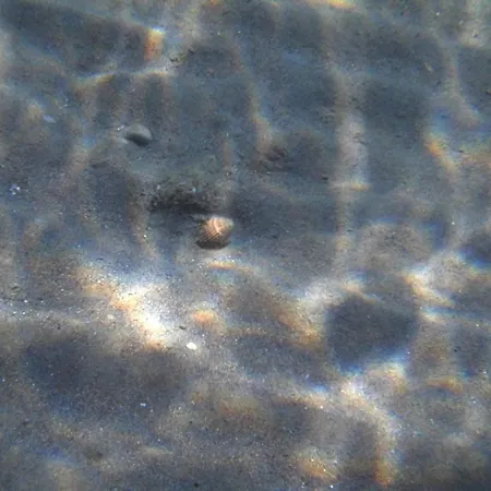 아파트 Captains & 카보스