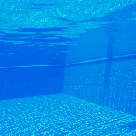 Captains & 카보스